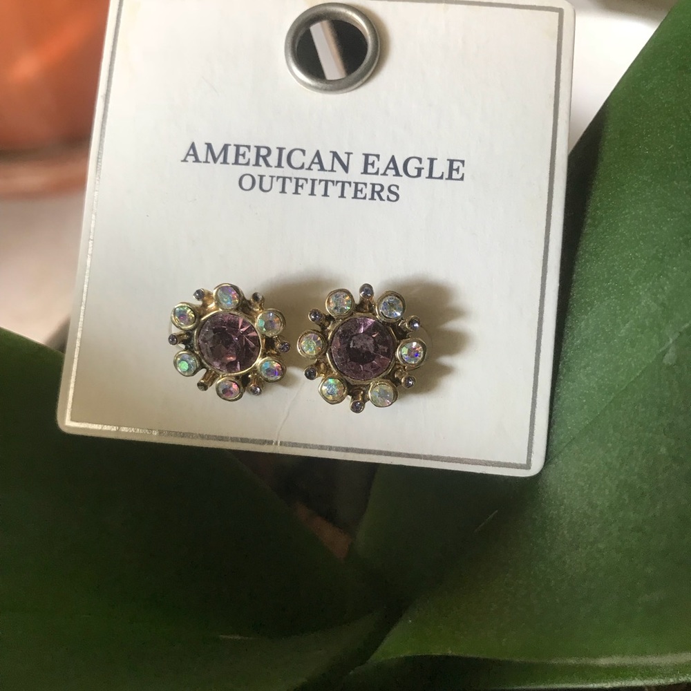 Adorable Round Purple and Silver Jeweled Earrings